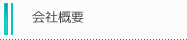 ЊTv