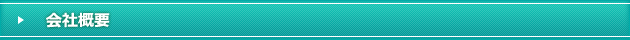 ЊTv